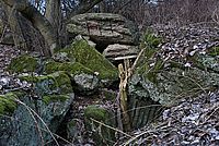 Bernhard Saalfeld - DSC05268 -1.jpg